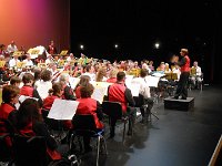 concert harmonie S marc et maison alfort a la  passerelle (45)