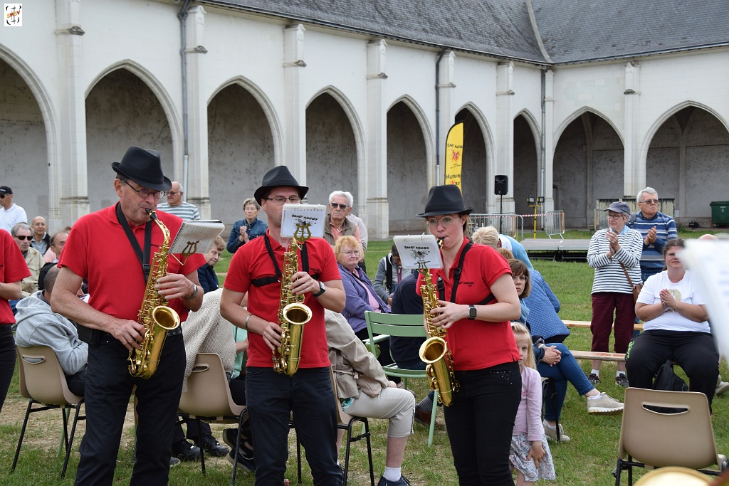DSC_0648 - Copie.JPG