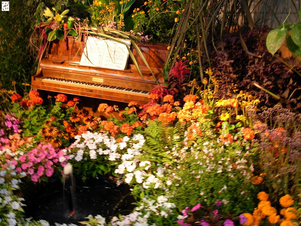 DSCN0527.JPG