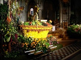 DSCN0528