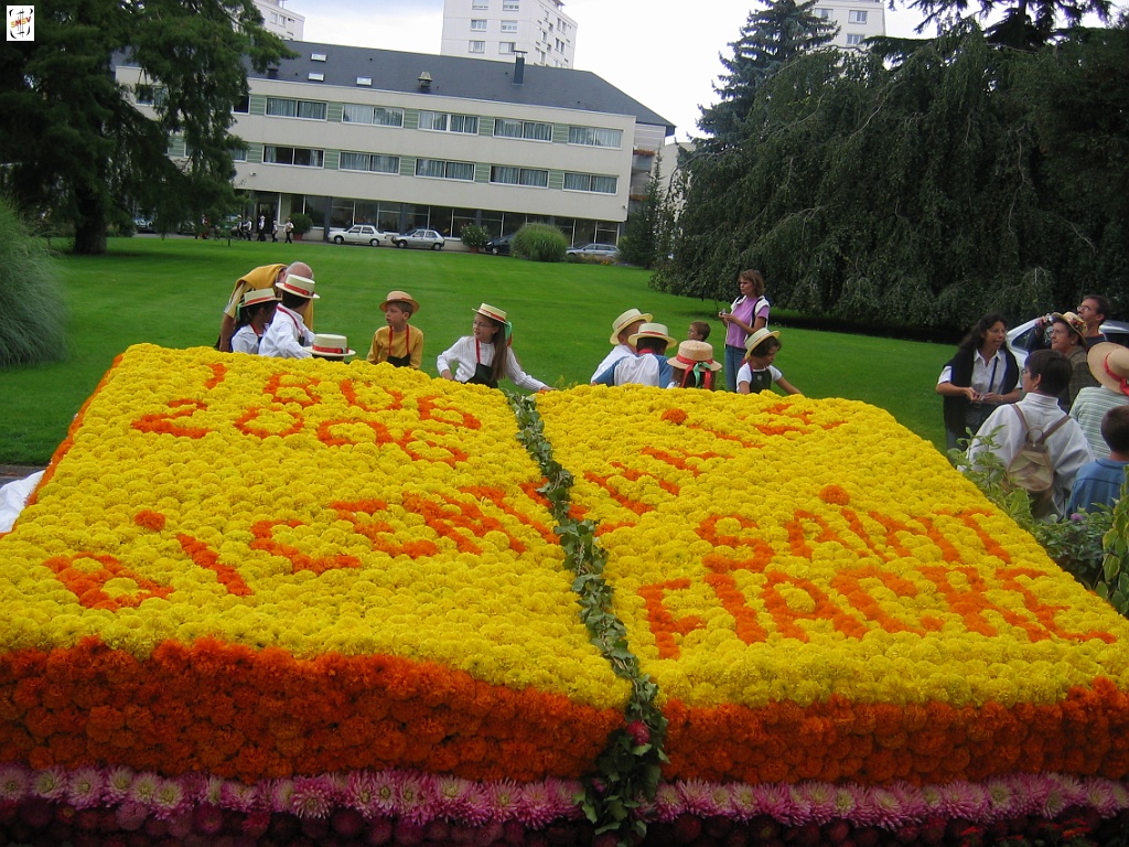 IMG00007.JPG