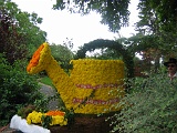 IMG00005
