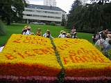 IMG00007